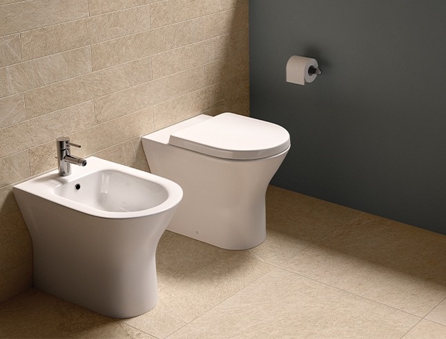 Bidet Mixer